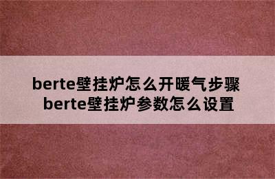 berte壁挂炉怎么开暖气步骤 berte壁挂炉参数怎么设置